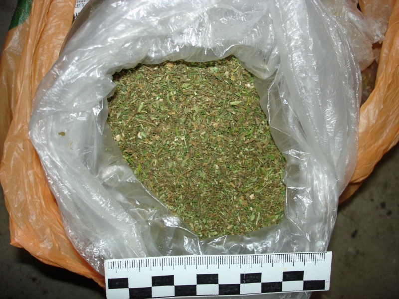 Новости с «наркофронта»: в Оренбуржье за неделю изъяли 2,5 кг «дури»